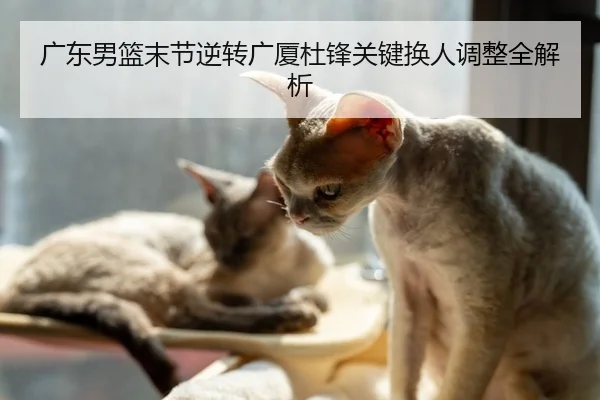 广东男篮末节逆转广厦杜锋关键换人调整全解析
